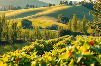 A panoramic view of an organic harvest field with vibrant produce, lush greenery, and warm, inviting light.