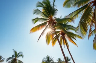 A vibrant field filled with fresh organic vegetables and fruits emphasizing the connection to healthy cooking.