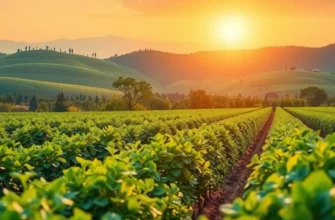A vast sunlit field filled with various fruits and vegetables, detailing the beauty of nature in nutrition.
