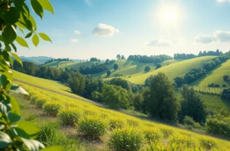 A pastoral landscape with lush crops and produce reflecting the seasonal bounty available for a keto diet.