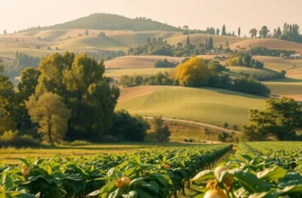 A lush landscape filled with an abundance of organic vegetables and fruits illuminated by soft, warm sunlight.