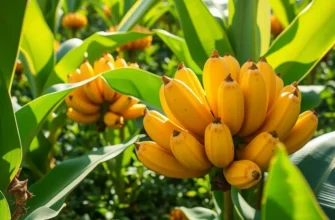 A scenic view of an orchard with vibrant fruits and vegetables growing in lush greenery.