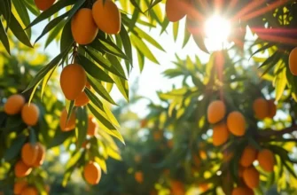 A sunlit field filled with a variety of organic fruits and vegetables growing in harmony with nature.