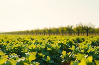 A scenic landscape featuring a sunlit field and vibrant fruits and vegetables, symbolizing the importance of nutrition for digestive health.