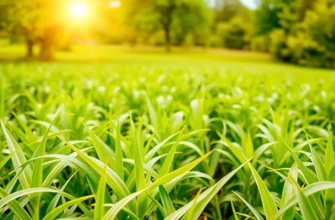 A lush, sunlit field filled with colorful fruits and vegetables, symbolizing natural health.