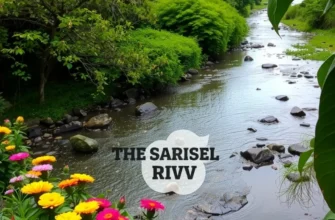 A scenic view of a lush orchard under sunlight, showcasing the abundance of fresh produce enhanced by water.